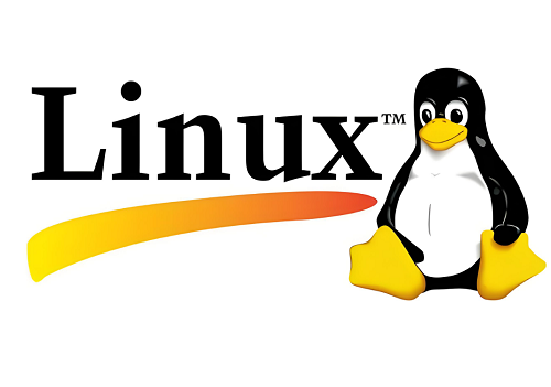 Linux 計(jì)算機(jī)硬件開(kāi)發(fā)的核心本質(zhì)